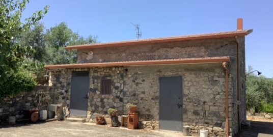 BARILE-Vendesi RUSTICO di mq 55 con TERRENO AGRICOLO di mq 17.671